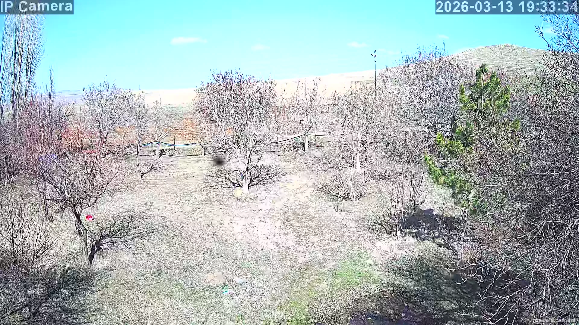 Capture from Mar 13, 2026 at 11:33 AM