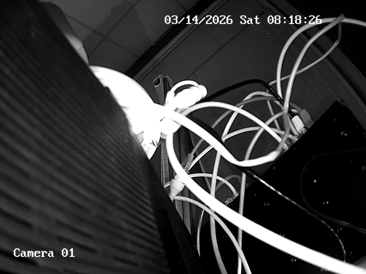 Capture from Mar 14, 2026 at 12:18 AM