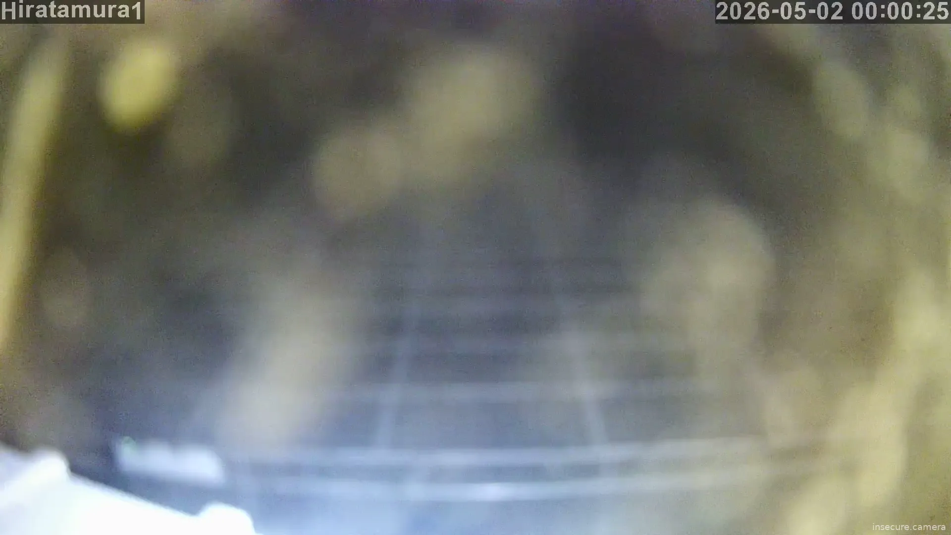 Camera in Japan