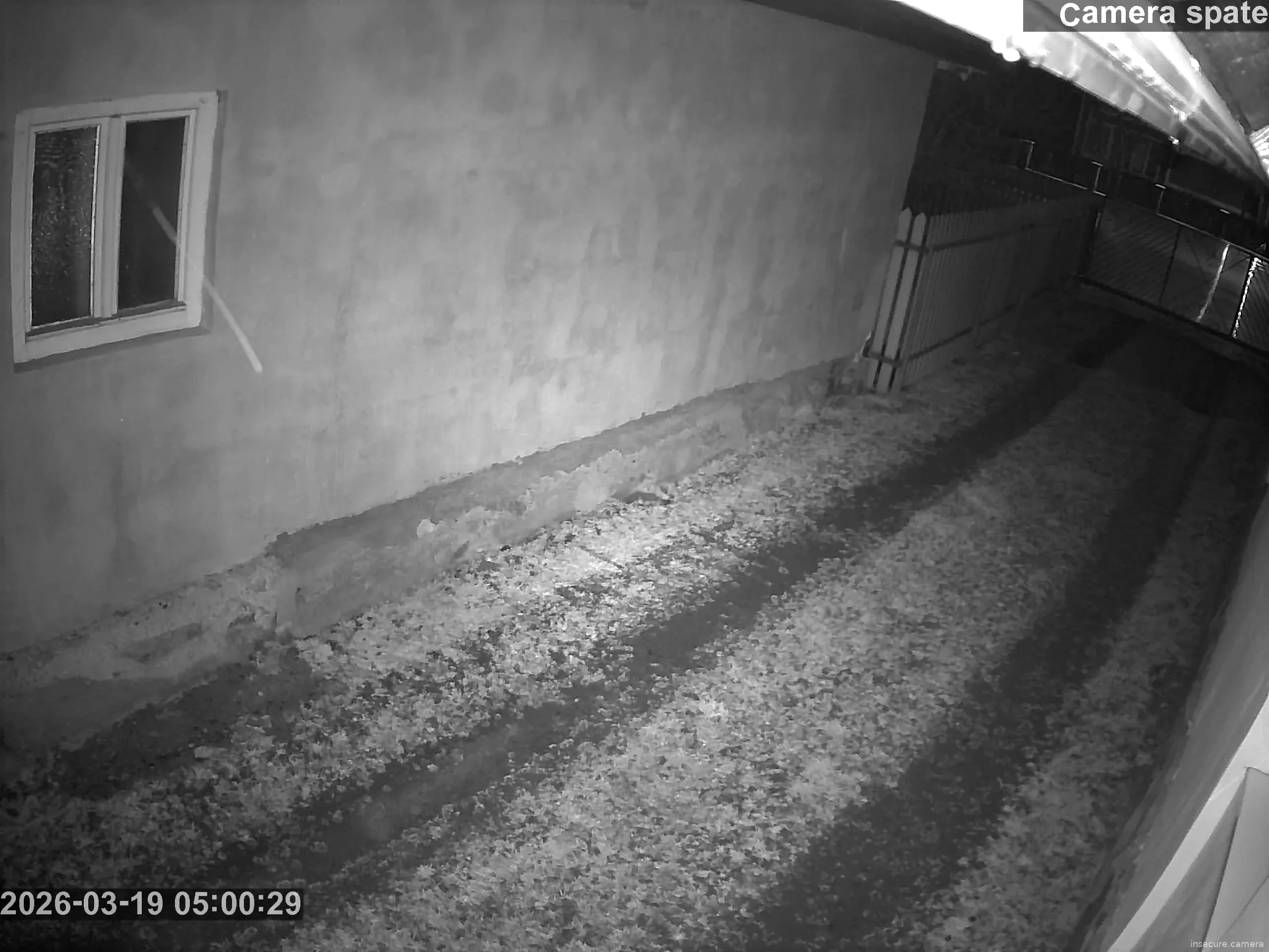 Capture from Mar 19, 2026 at 03:01 AM