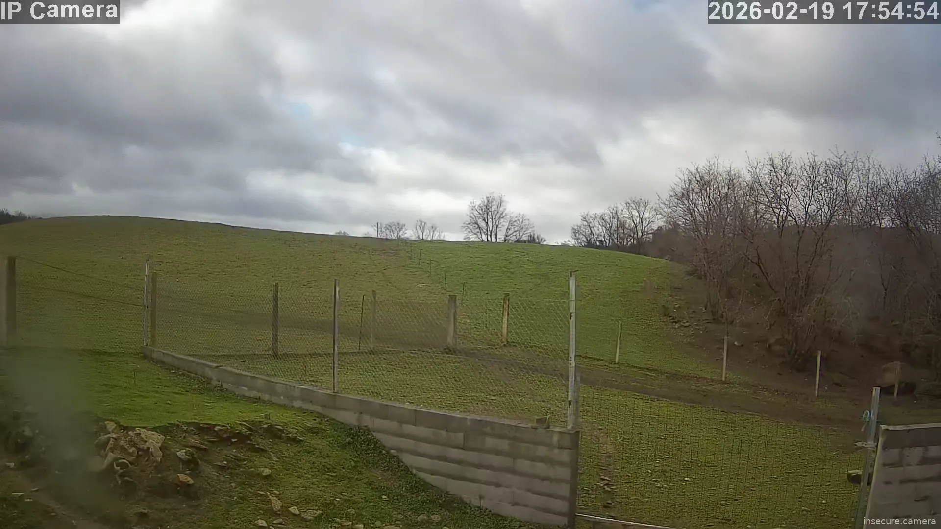 Capture from Feb 19, 2026 at 09:55 AM