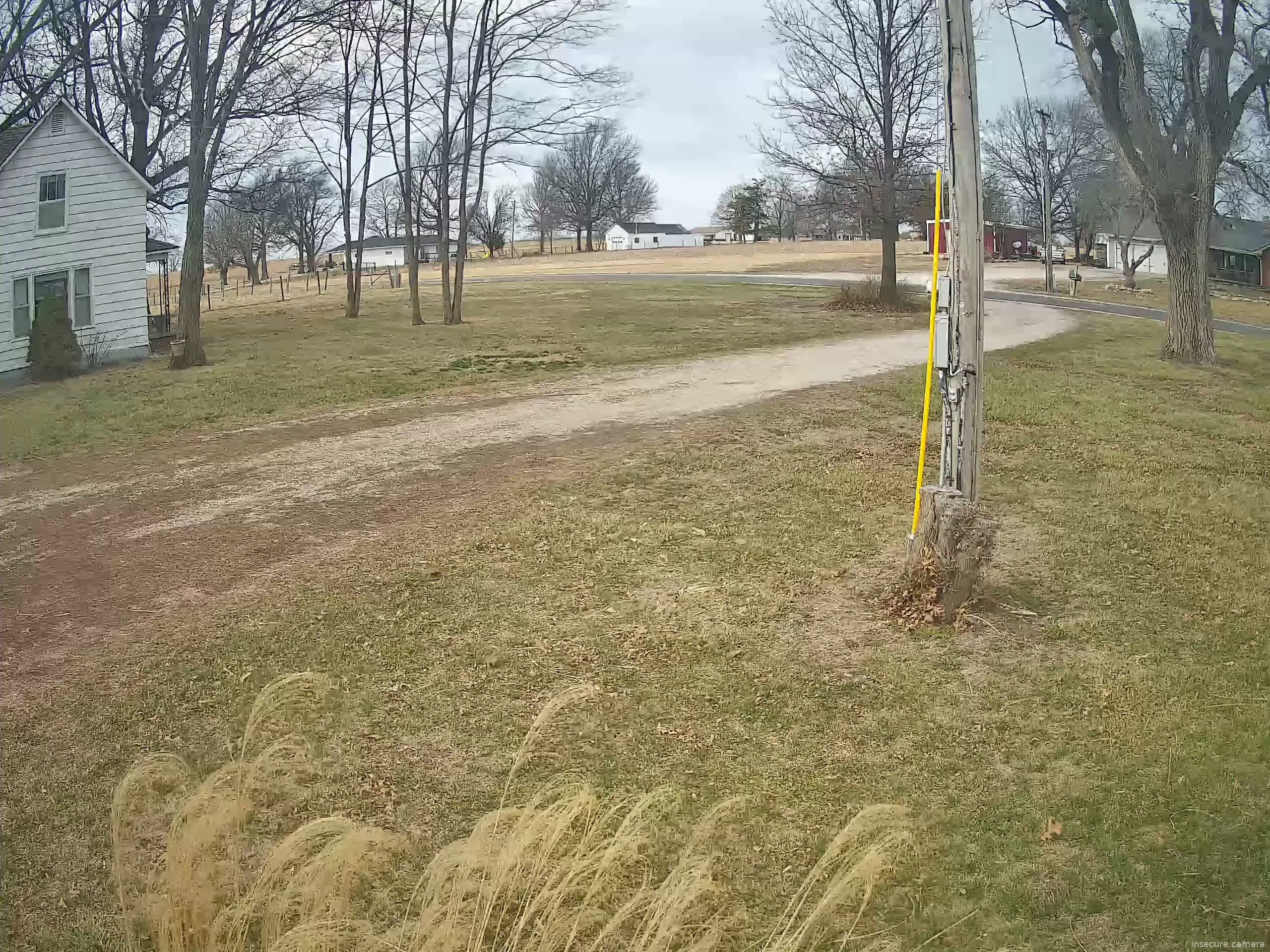 Camera in United States