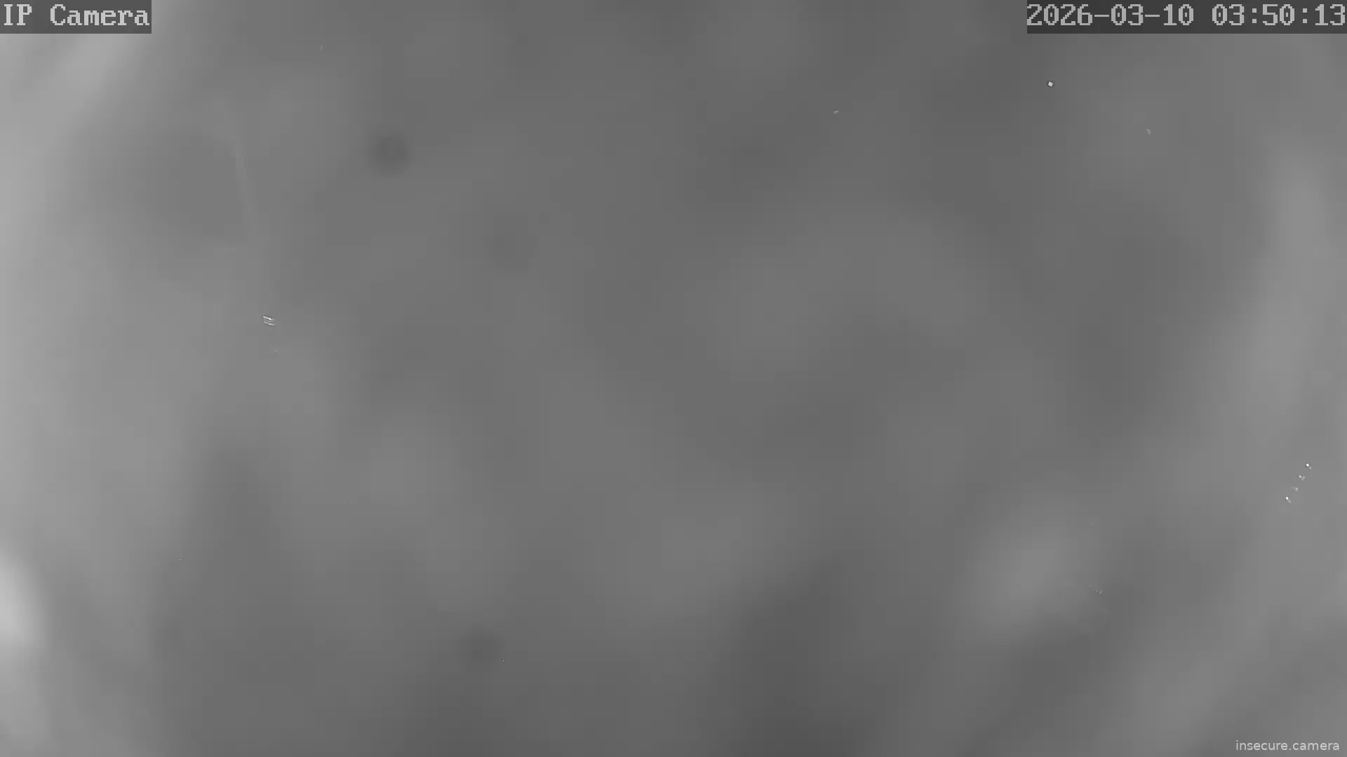 Capture from Mar 09, 2026 at 07:50 PM