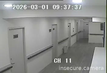 Capture from Mar 01, 2026 at 03:10 AM