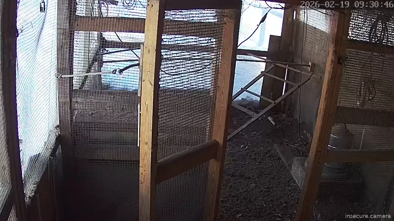 Capture from Feb 19, 2026 at 02:31 PM