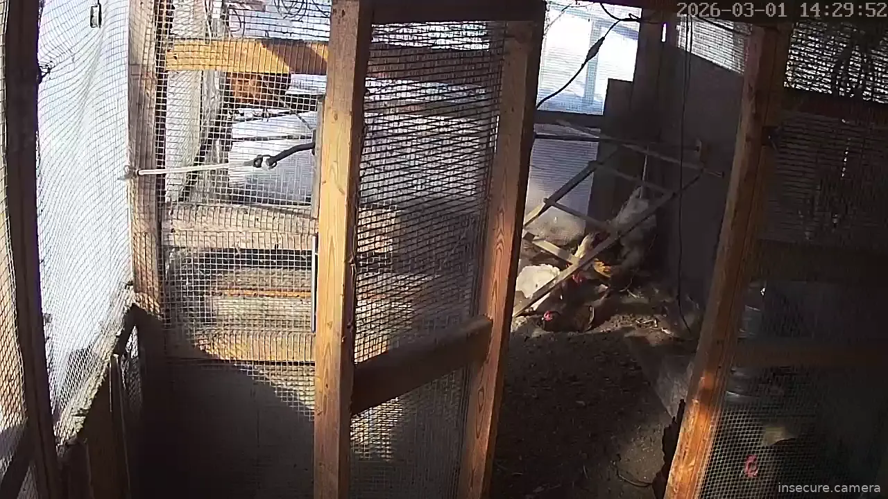 Capture from Mar 01, 2026 at 07:30 PM