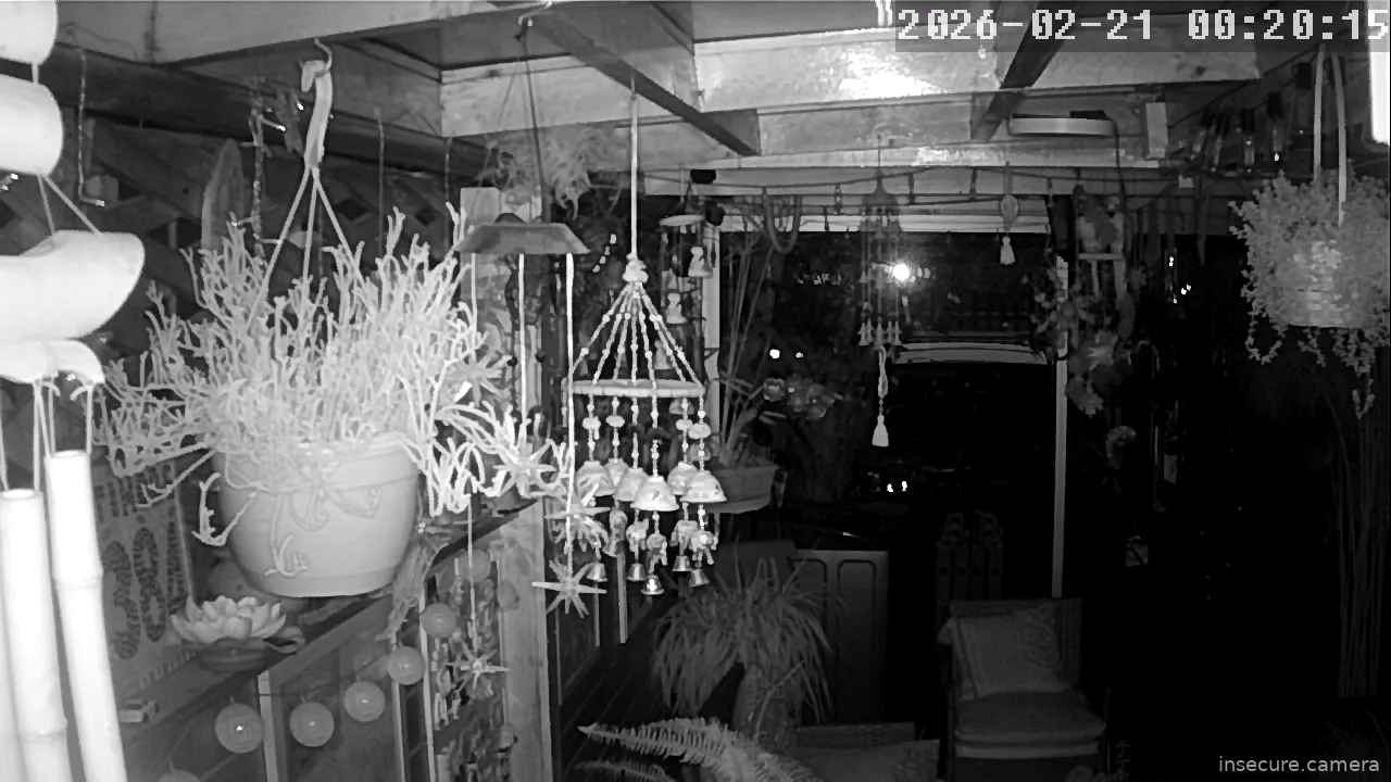 Capture from Feb 21, 2026 at 03:20 AM