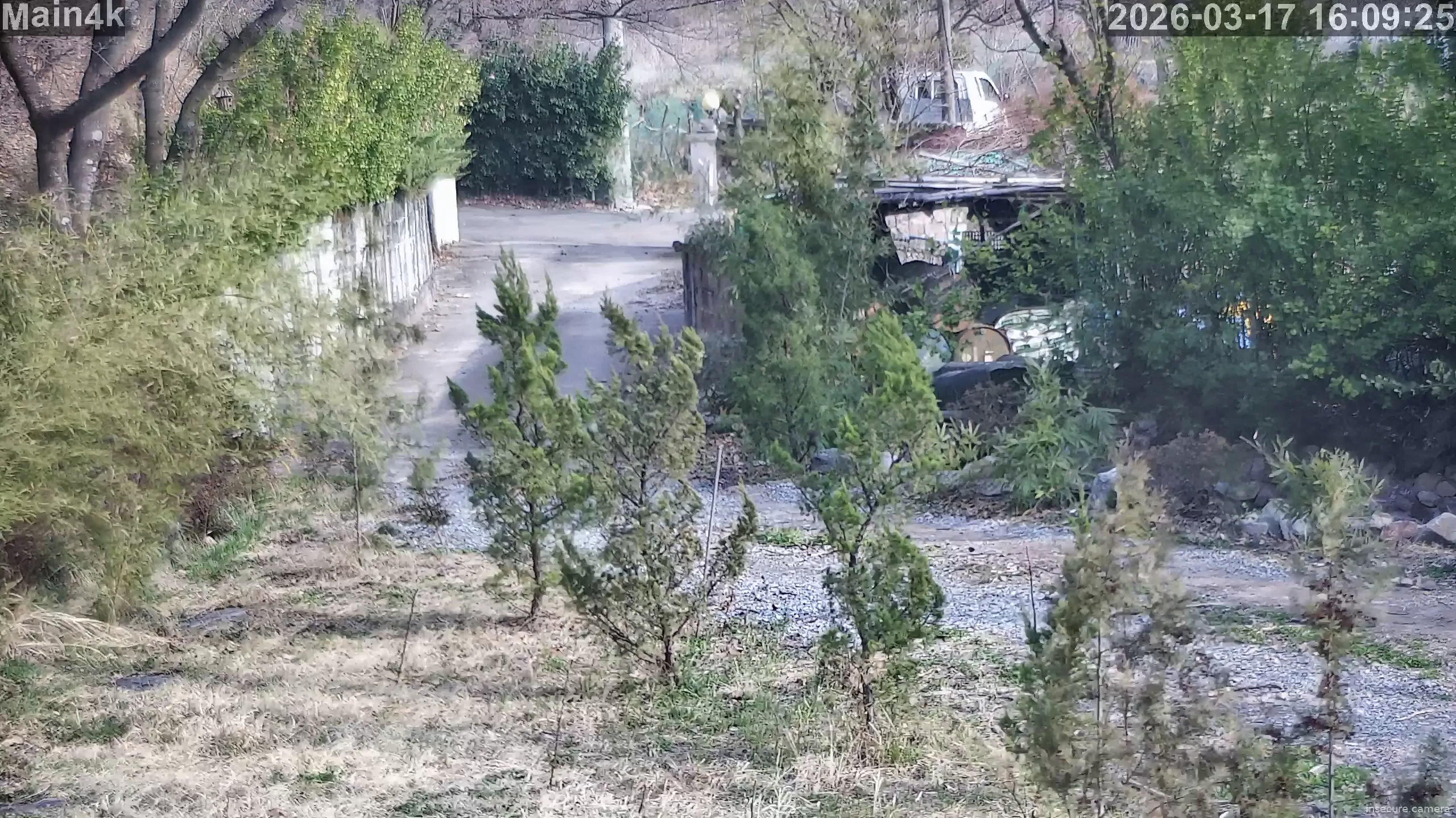 Camera in South Korea