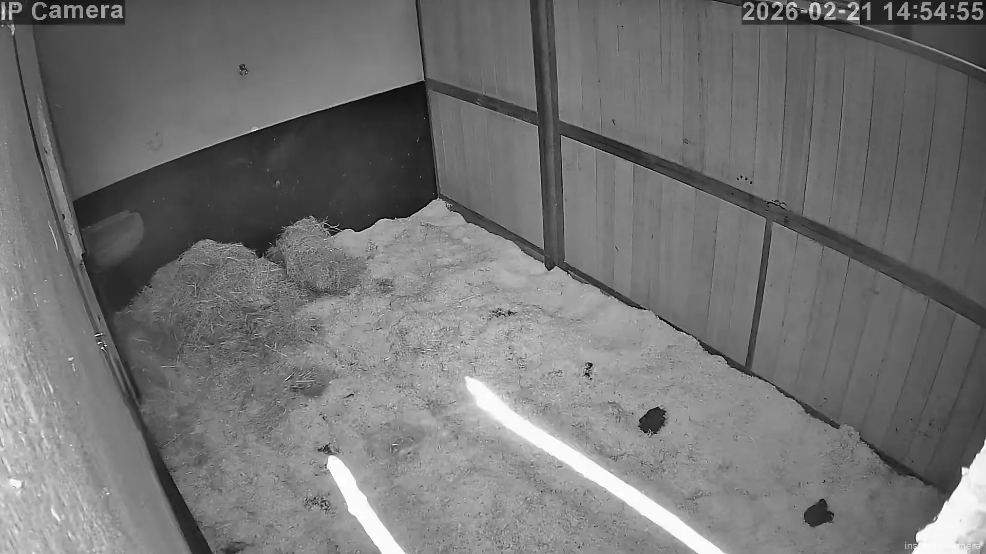 Capture from Feb 21, 2026 at 06:55 AM