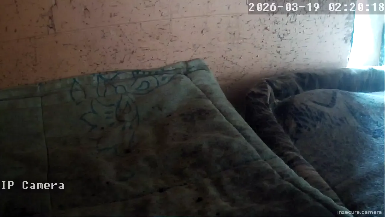 Capture from Mar 19, 2026 at 06:20 AM