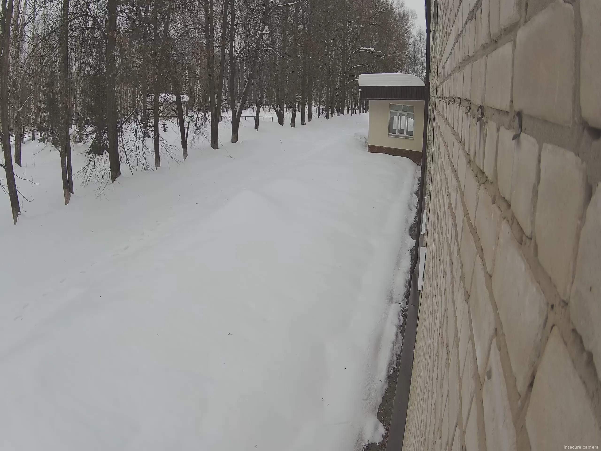 Capture from Mar 07, 2026 at 05:16 AM