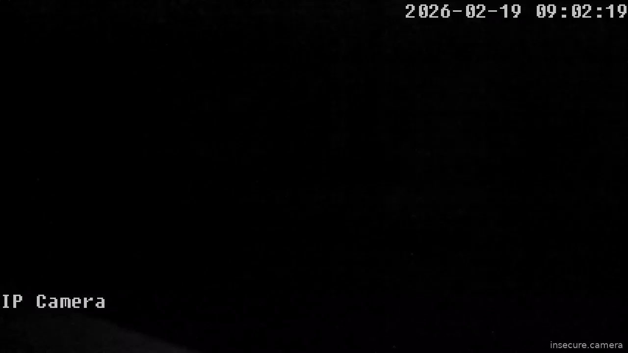 Capture from Feb 19, 2026 at 01:02 AM