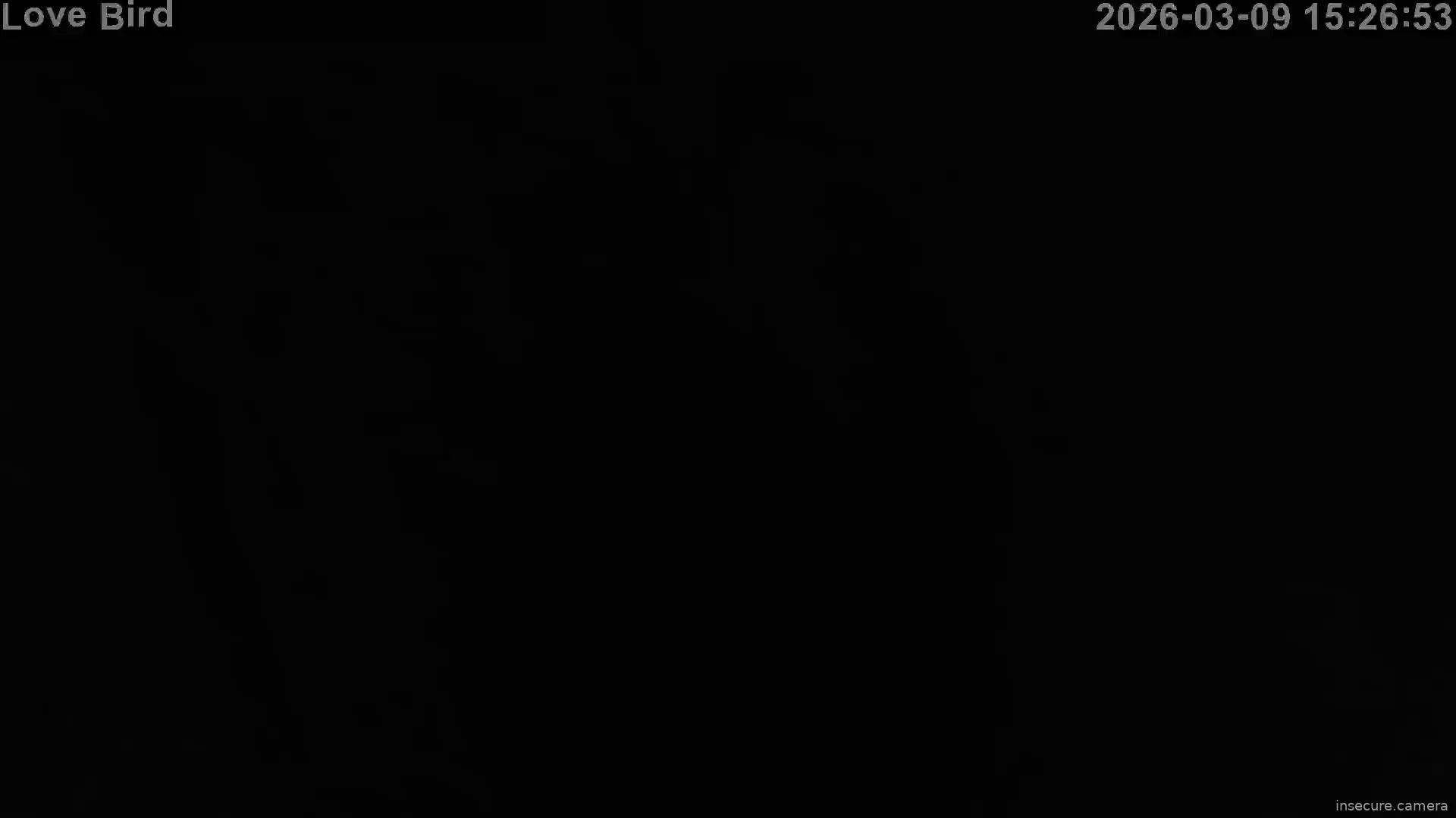 Capture from Mar 09, 2026 at 07:27 AM