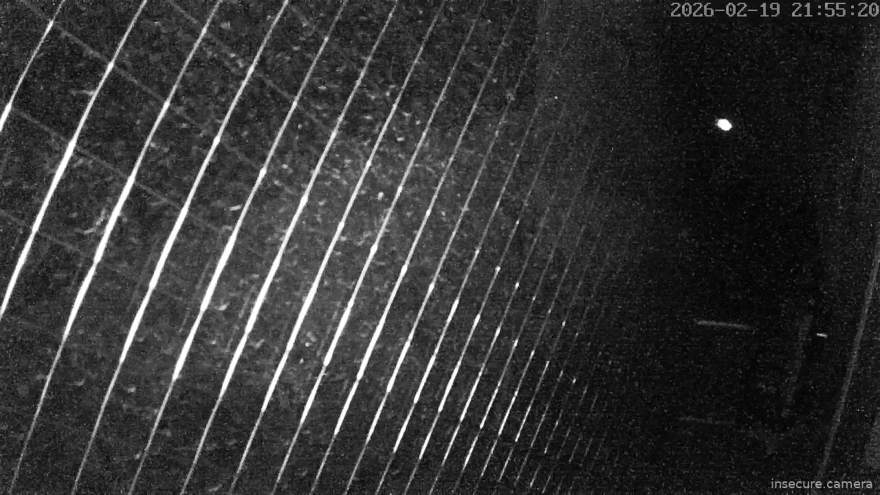 Capture from Feb 19, 2026 at 01:55 PM