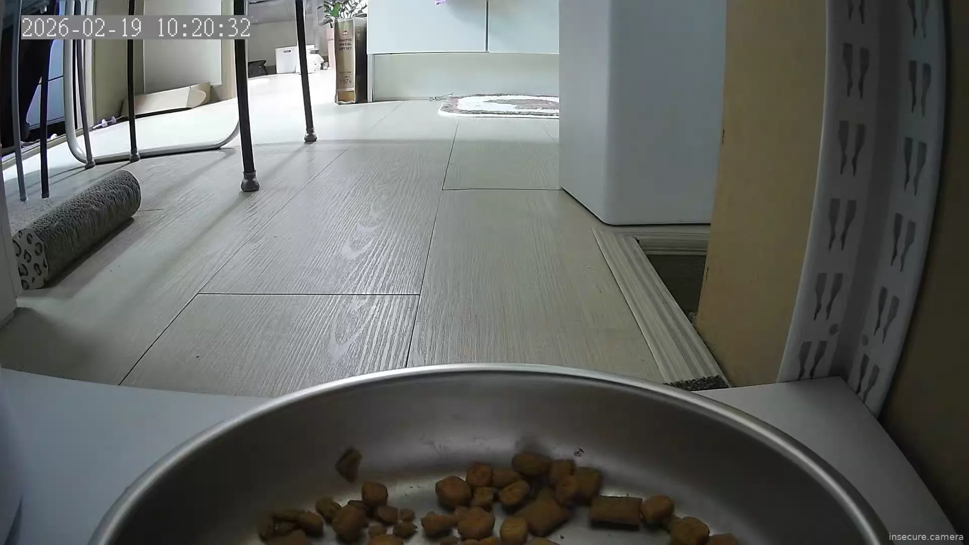 Capture from Feb 19, 2026 at 01:21 AM