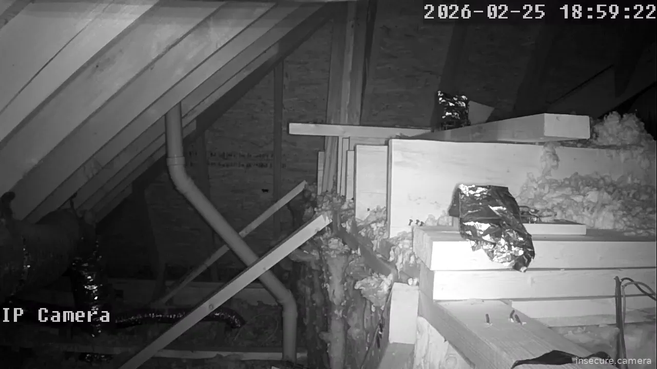 Capture from Feb 25, 2026 at 11:59 PM