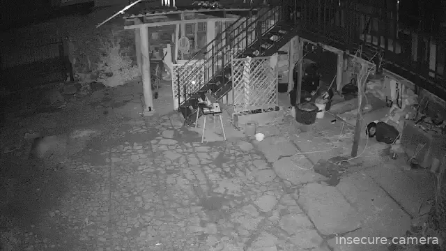 Capture from Mar 02, 2026 at 01:43 AM