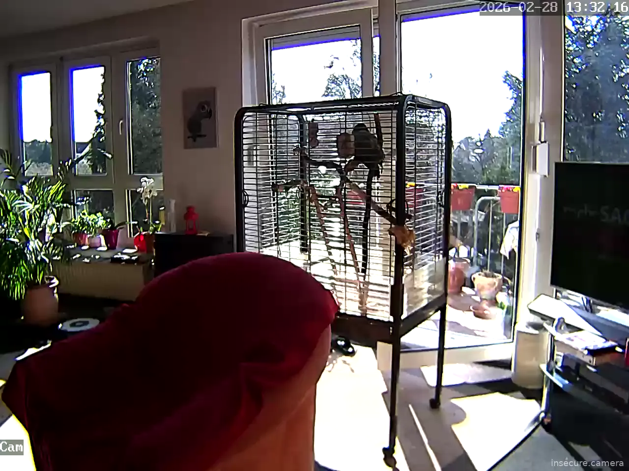 Capture from Feb 28, 2026 at 12:32 PM