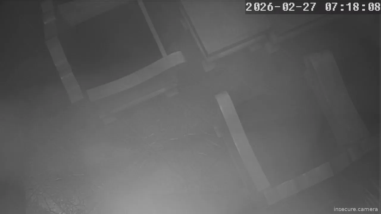 Capture from Feb 26, 2026 at 11:18 PM