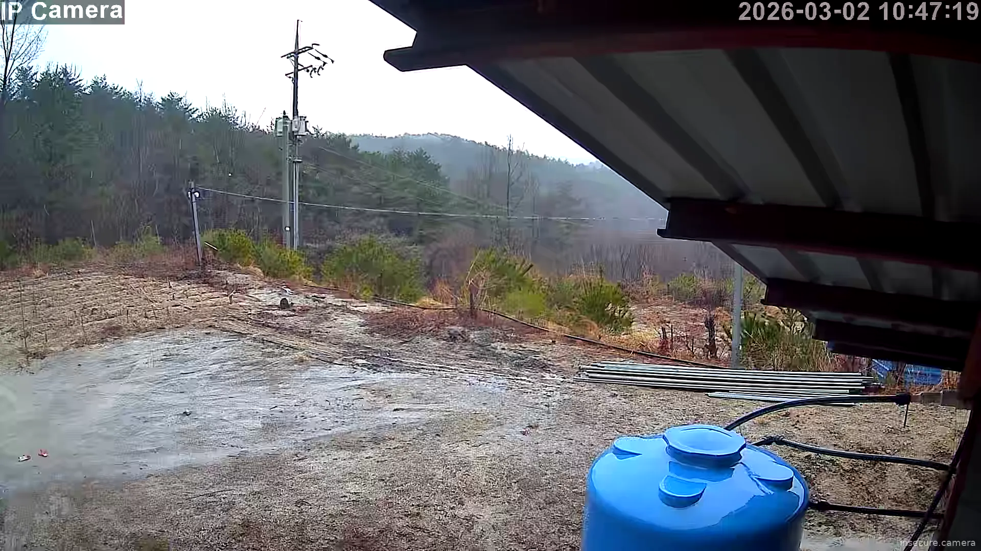 Camera in South Korea