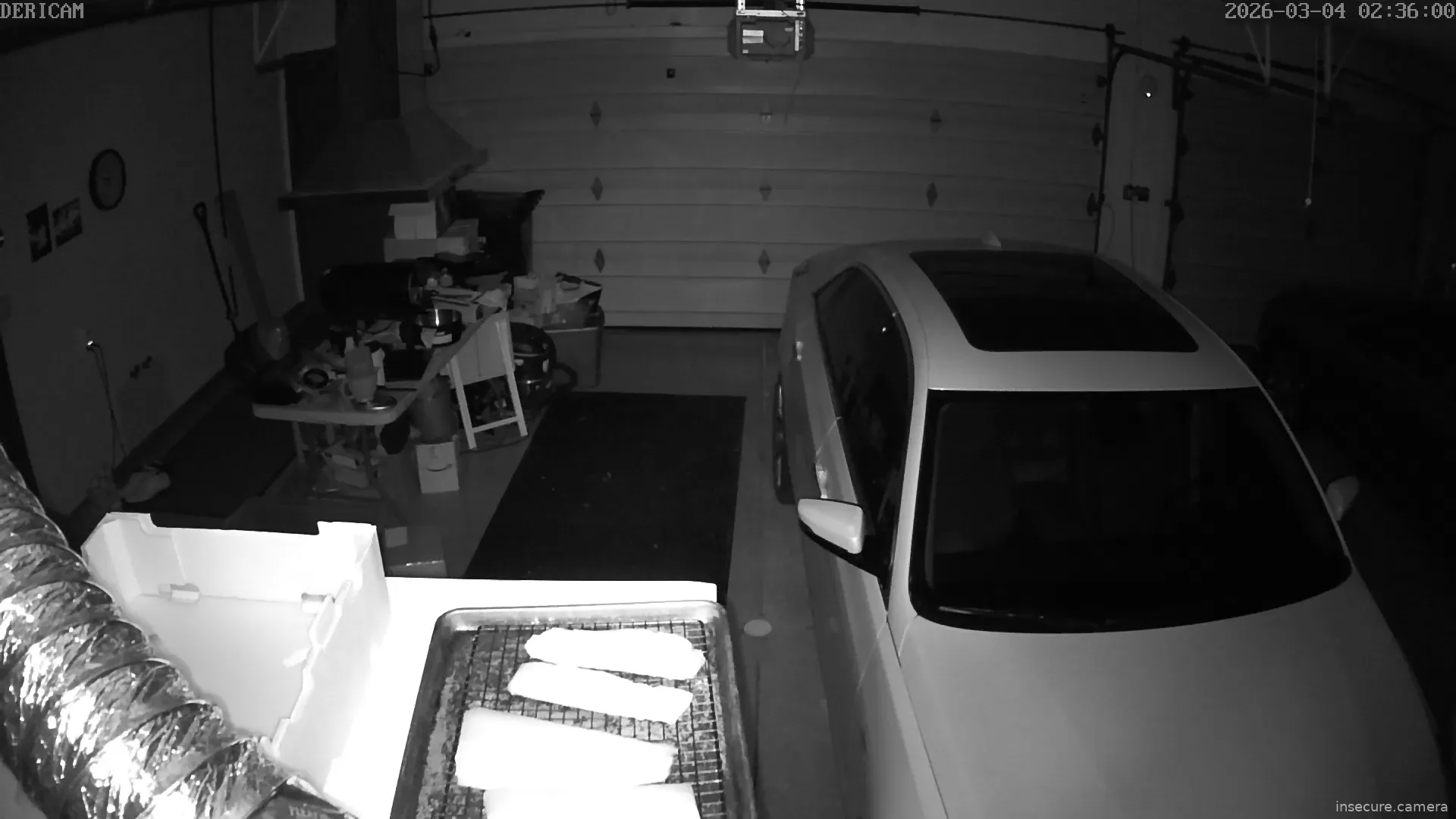 Capture from Mar 04, 2026 at 02:36 AM