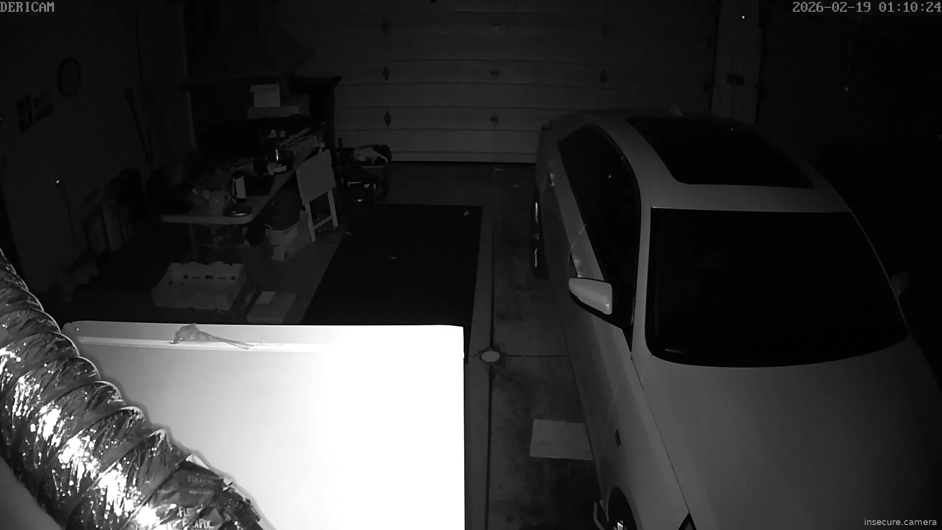 Capture from Feb 19, 2026 at 01:10 AM