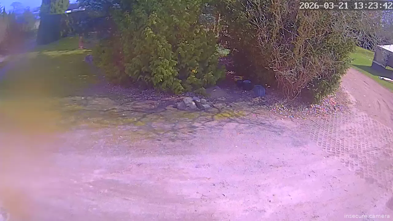 Capture from Mar 21, 2026 at 11:24 AM