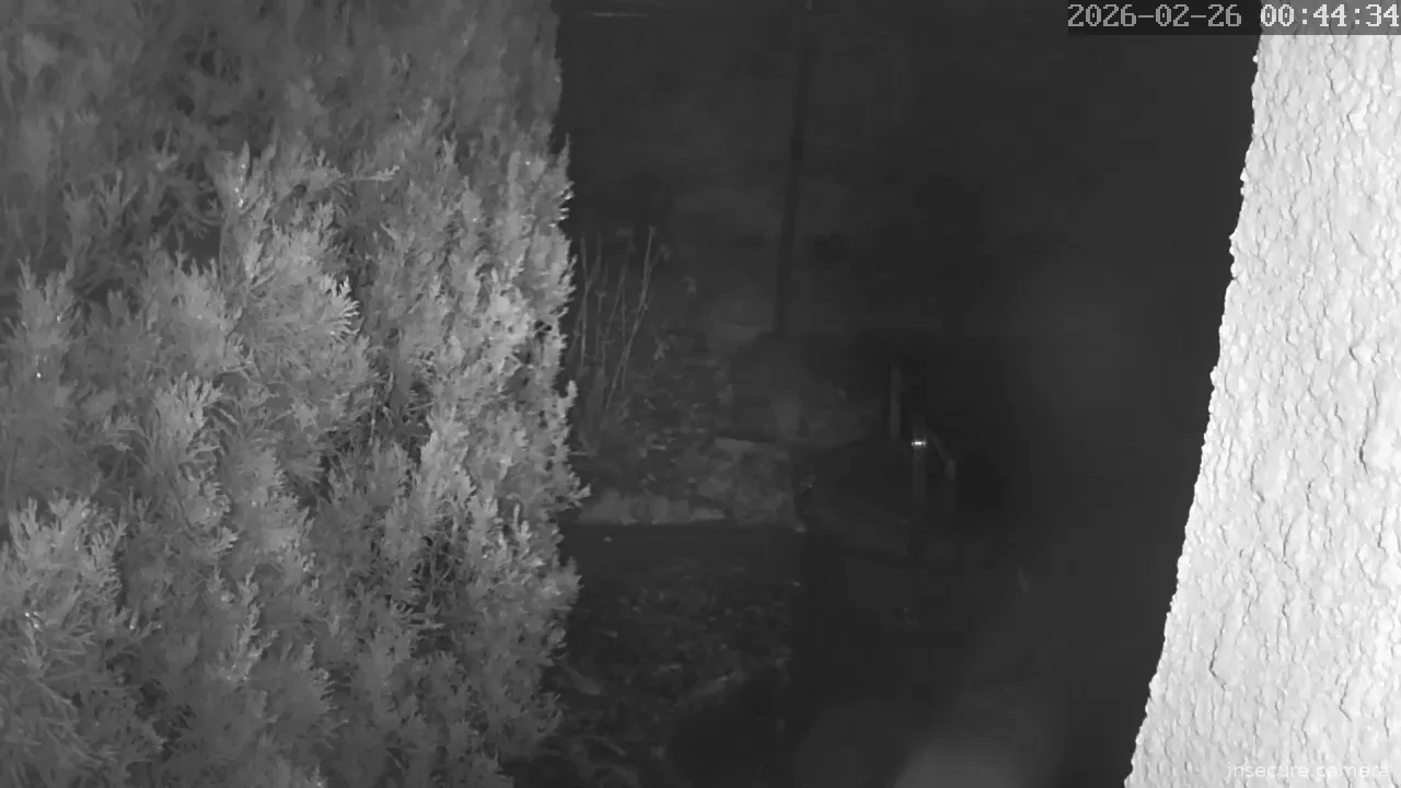 Capture from Feb 25, 2026 at 03:45 PM