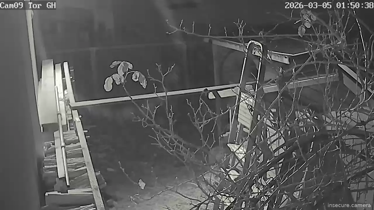 Capture from Mar 05, 2026 at 12:51 AM