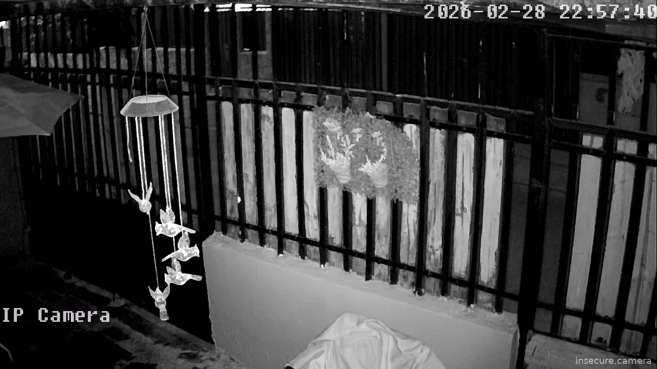 Capture from Mar 01, 2026 at 02:57 AM