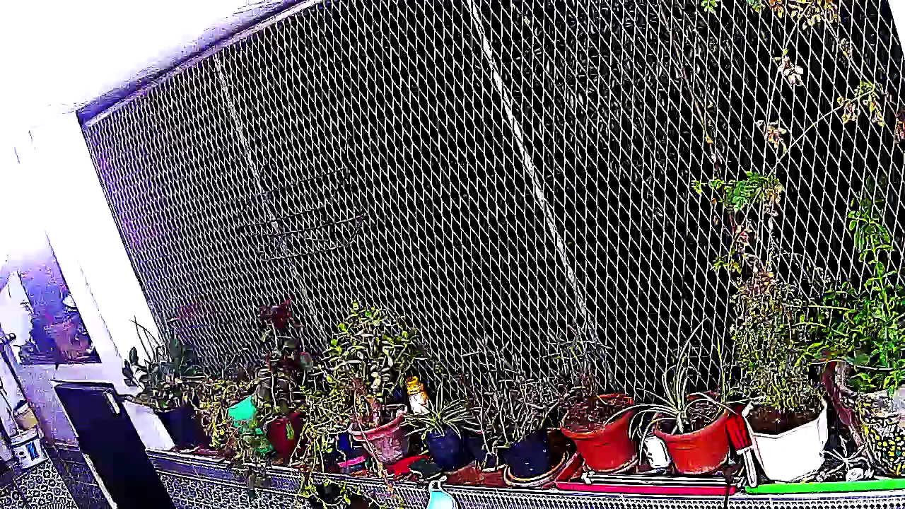 Capture from Feb 28, 2026 at 09:04 PM