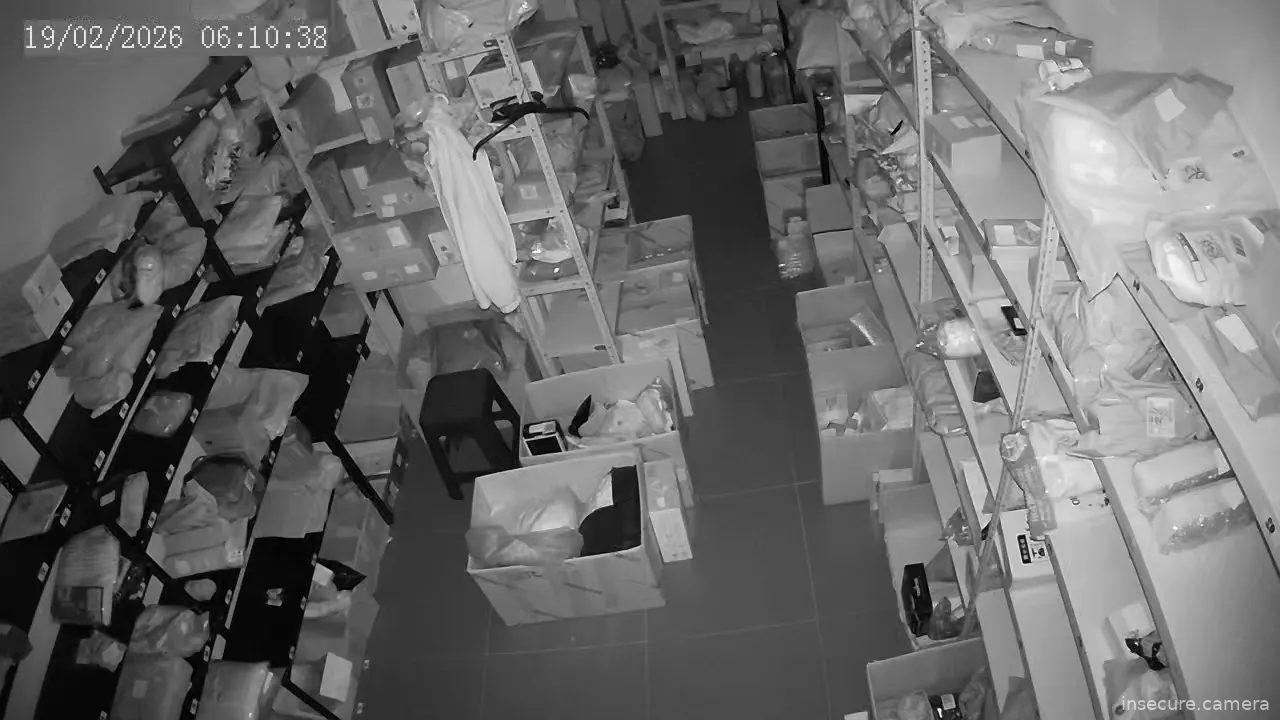 Capture from Feb 19, 2026 at 01:10 AM