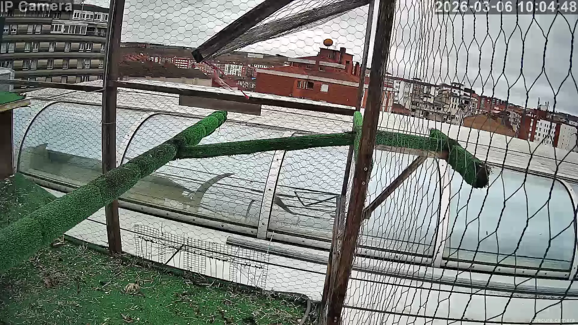 Capture from Mar 06, 2026 at 08:05 AM