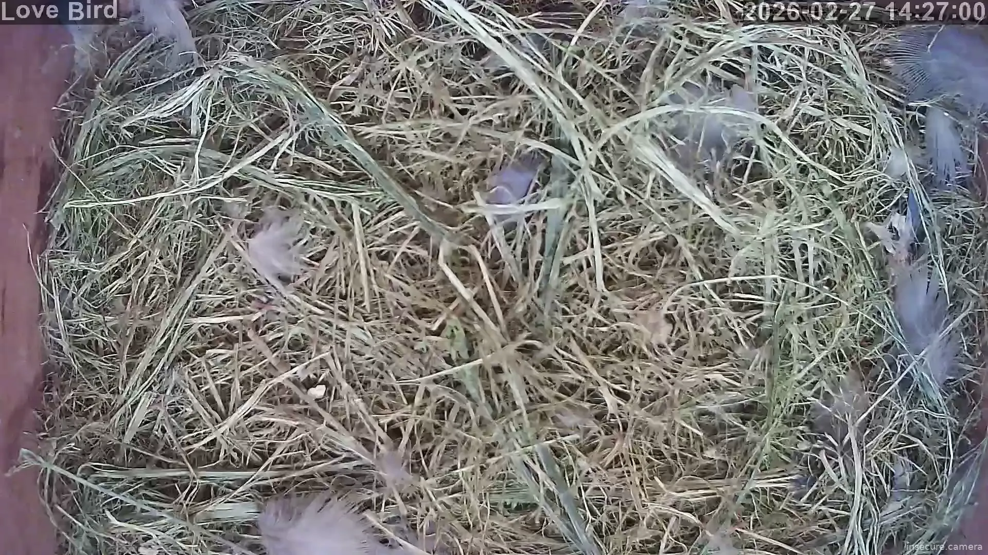 Capture from Feb 27, 2026 at 06:27 AM