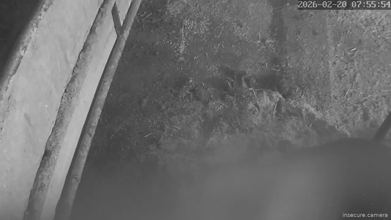 Capture from Feb 19, 2026 at 10:57 PM