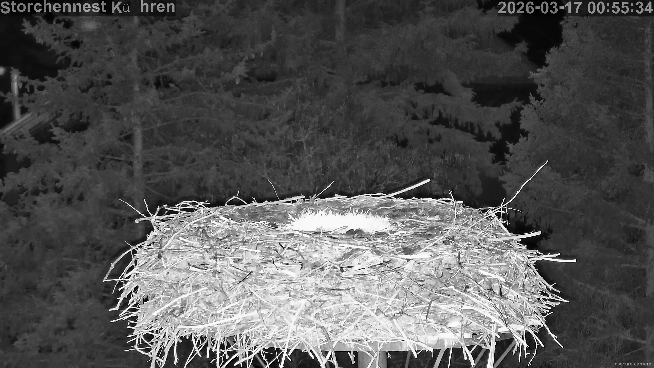 Capture from Mar 16, 2026 at 11:55 PM