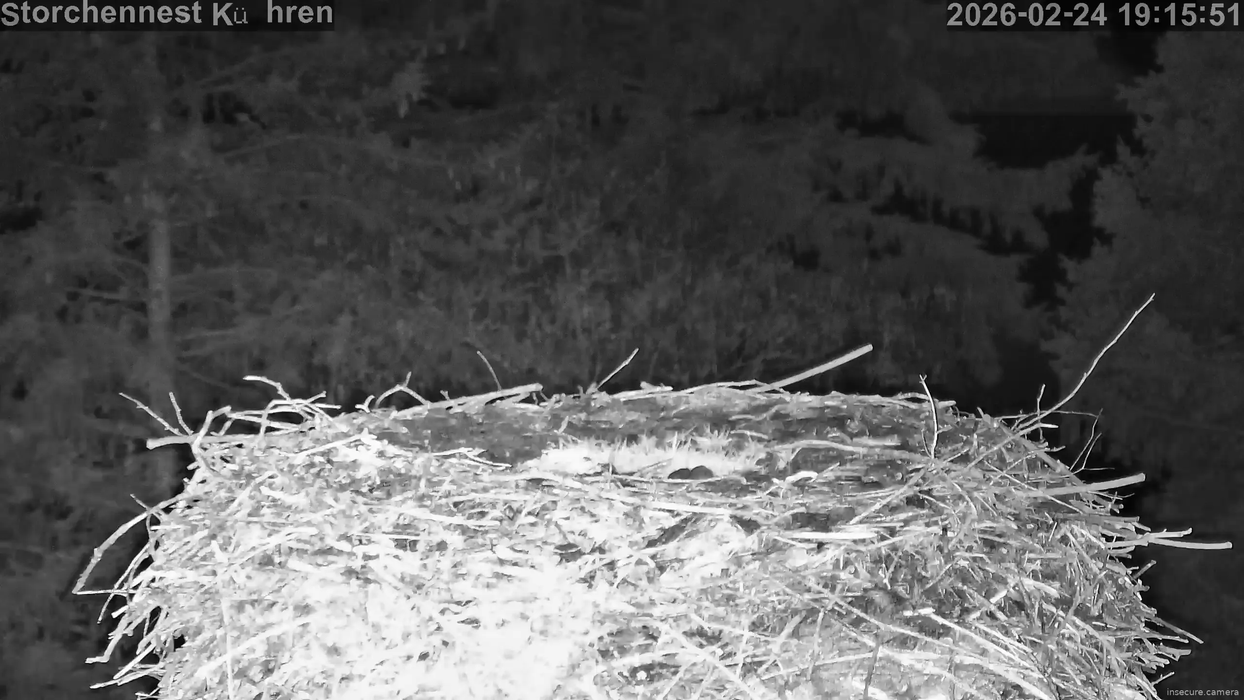 Capture from Feb 24, 2026 at 06:16 PM