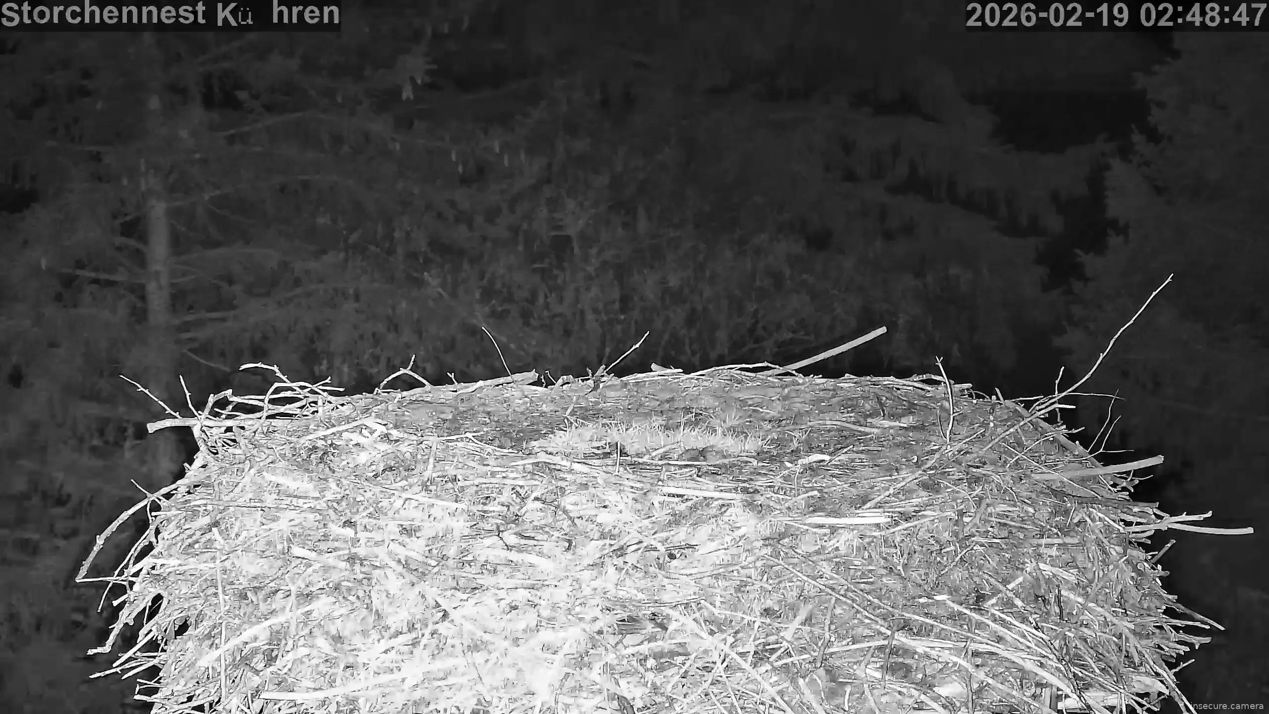 Capture from Feb 19, 2026 at 01:49 AM