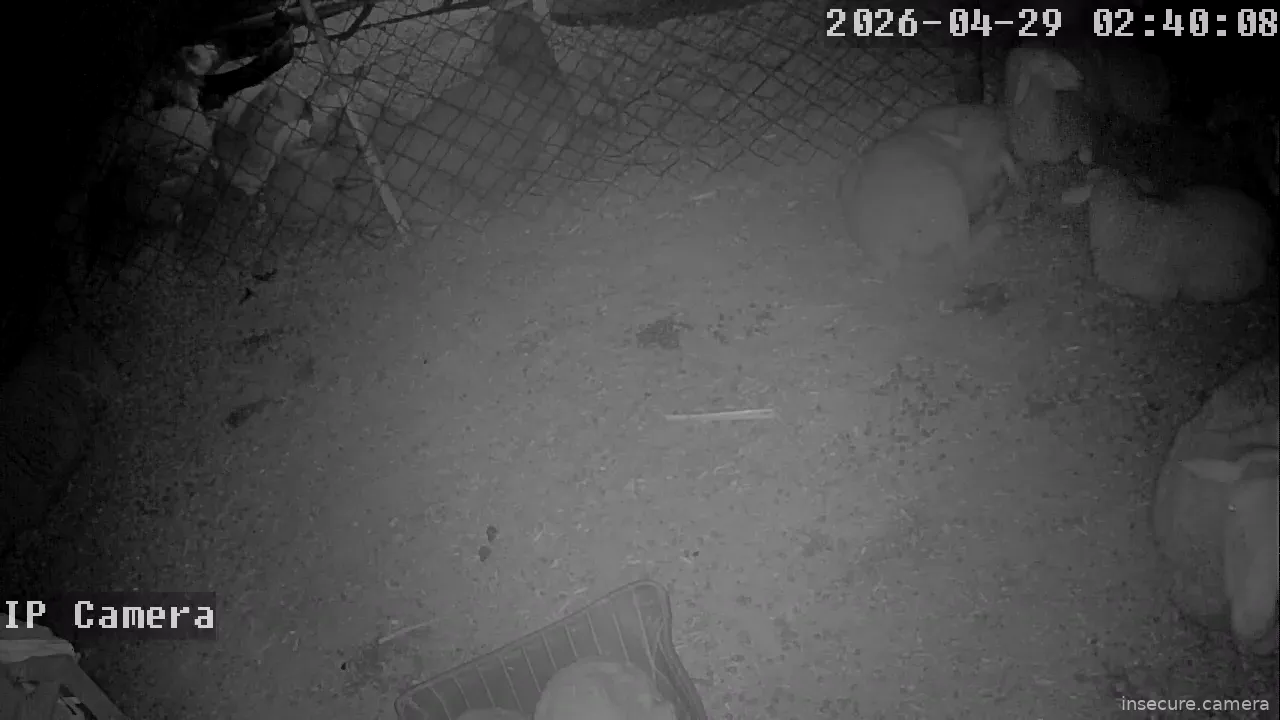 Capture from Apr 28, 2026 at 06:40 PM