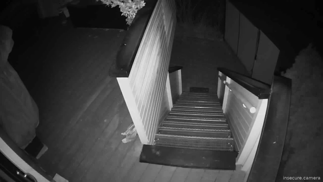 Capture from Feb 19, 2026 at 05:08 AM