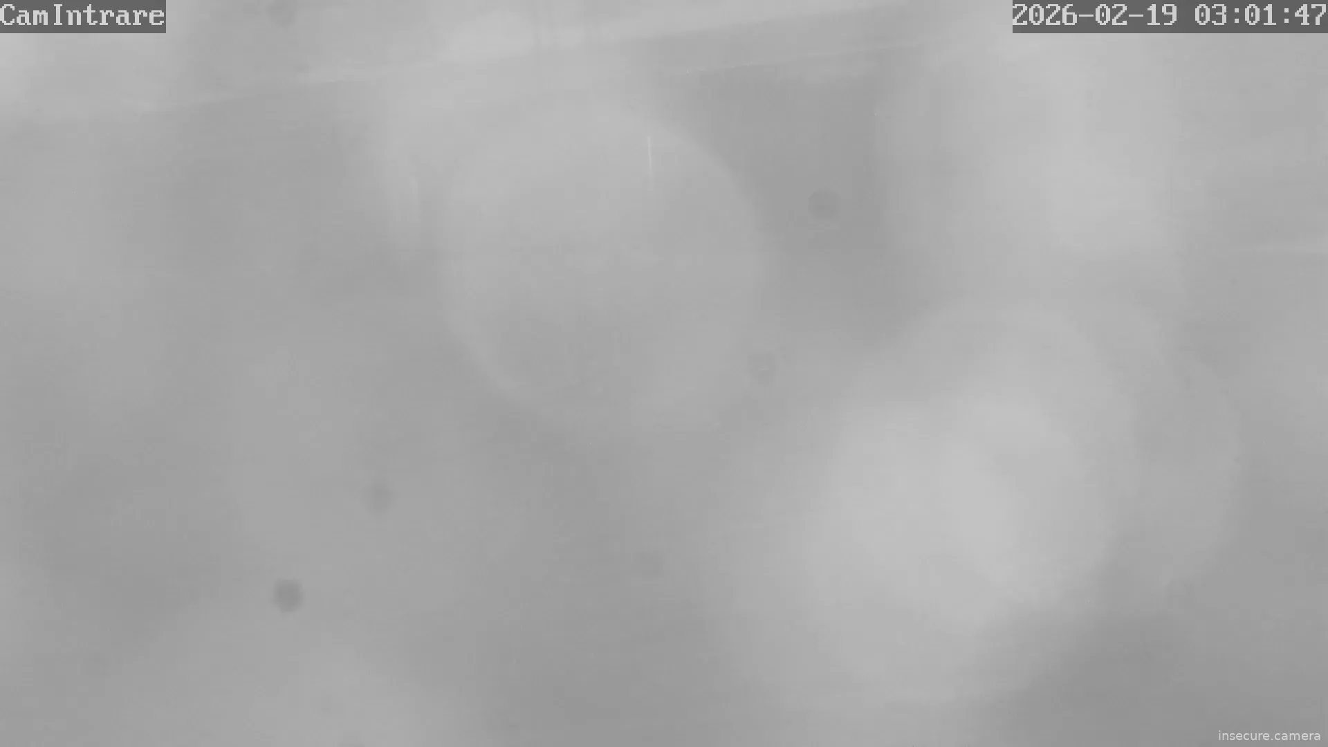 Capture from Feb 19, 2026 at 01:02 AM