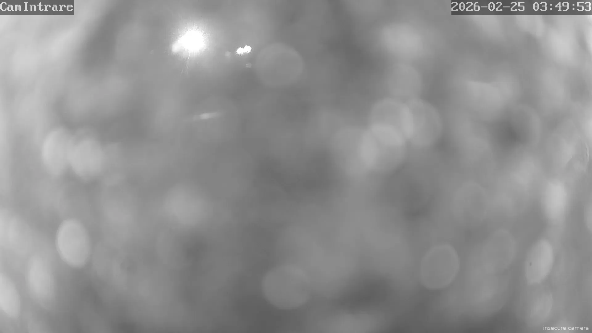 Capture from Feb 25, 2026 at 01:50 AM