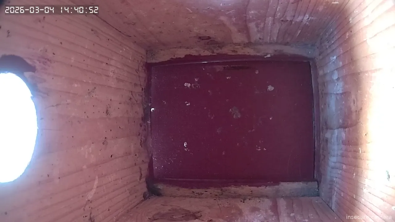 Capture from Mar 04, 2026 at 12:41 PM