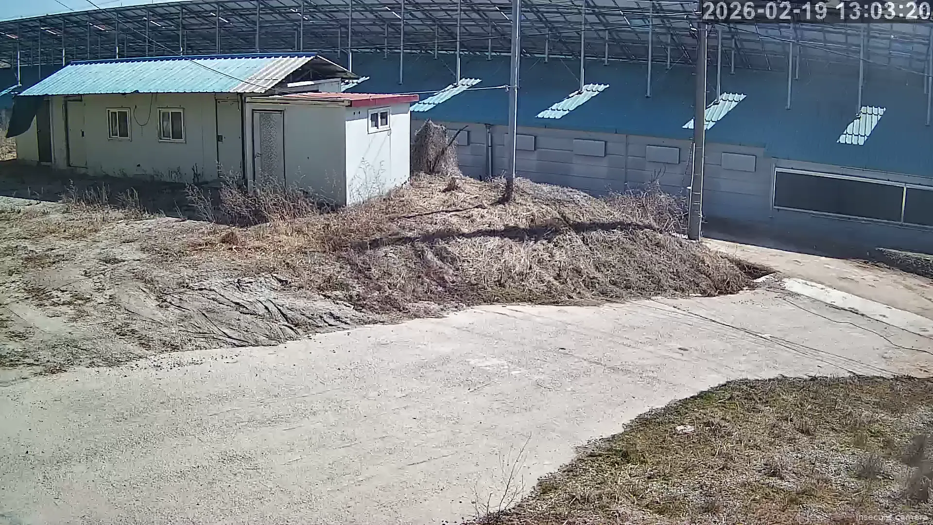 Camera in South Korea