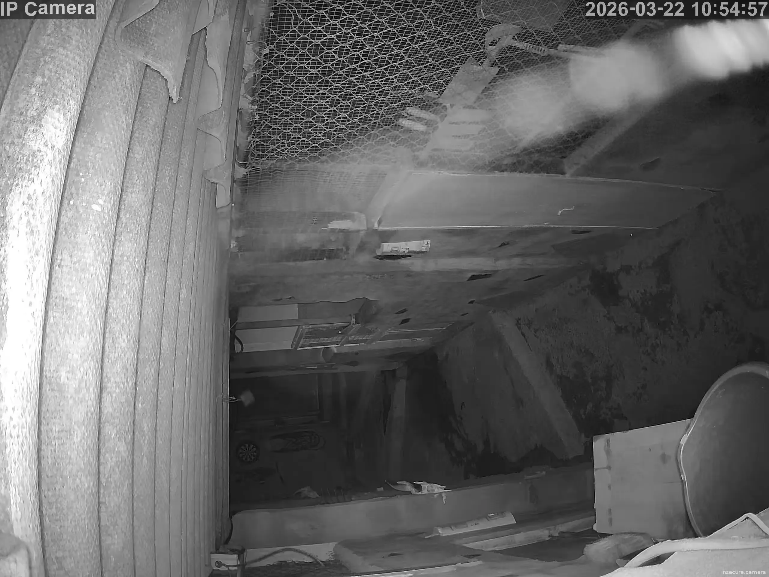 Capture from Mar 22, 2026 at 02:55 AM