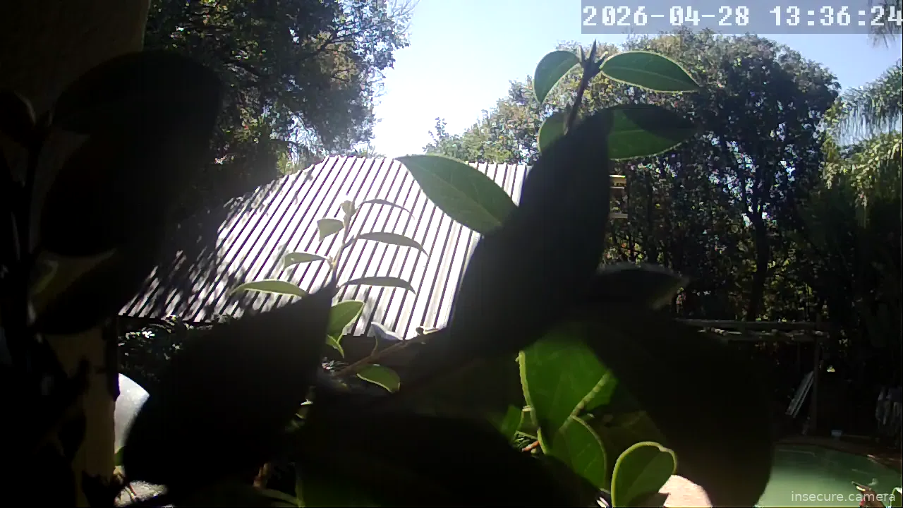 Capture from Apr 28, 2026 at 11:36 AM