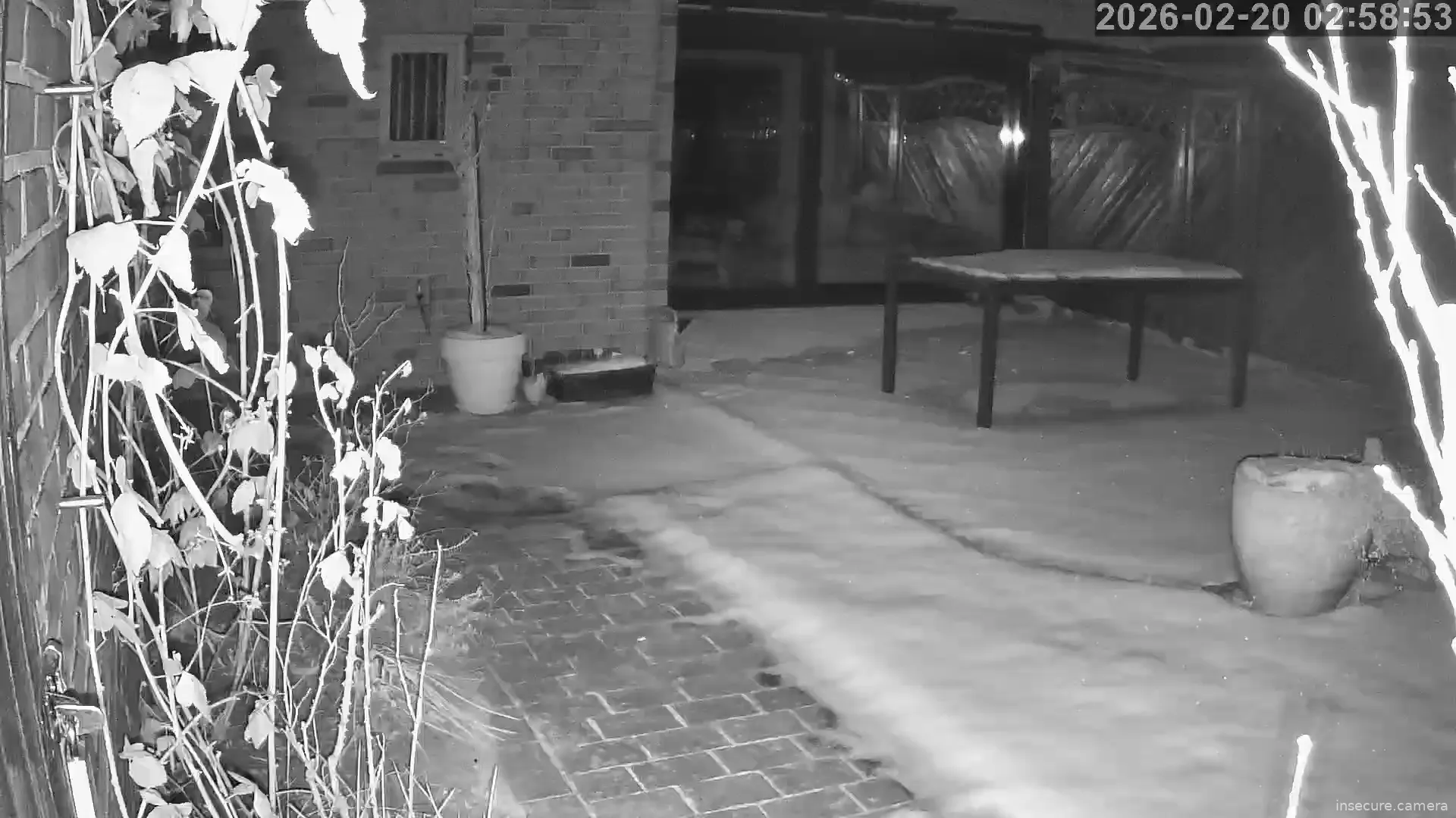 Capture from Feb 20, 2026 at 01:59 AM