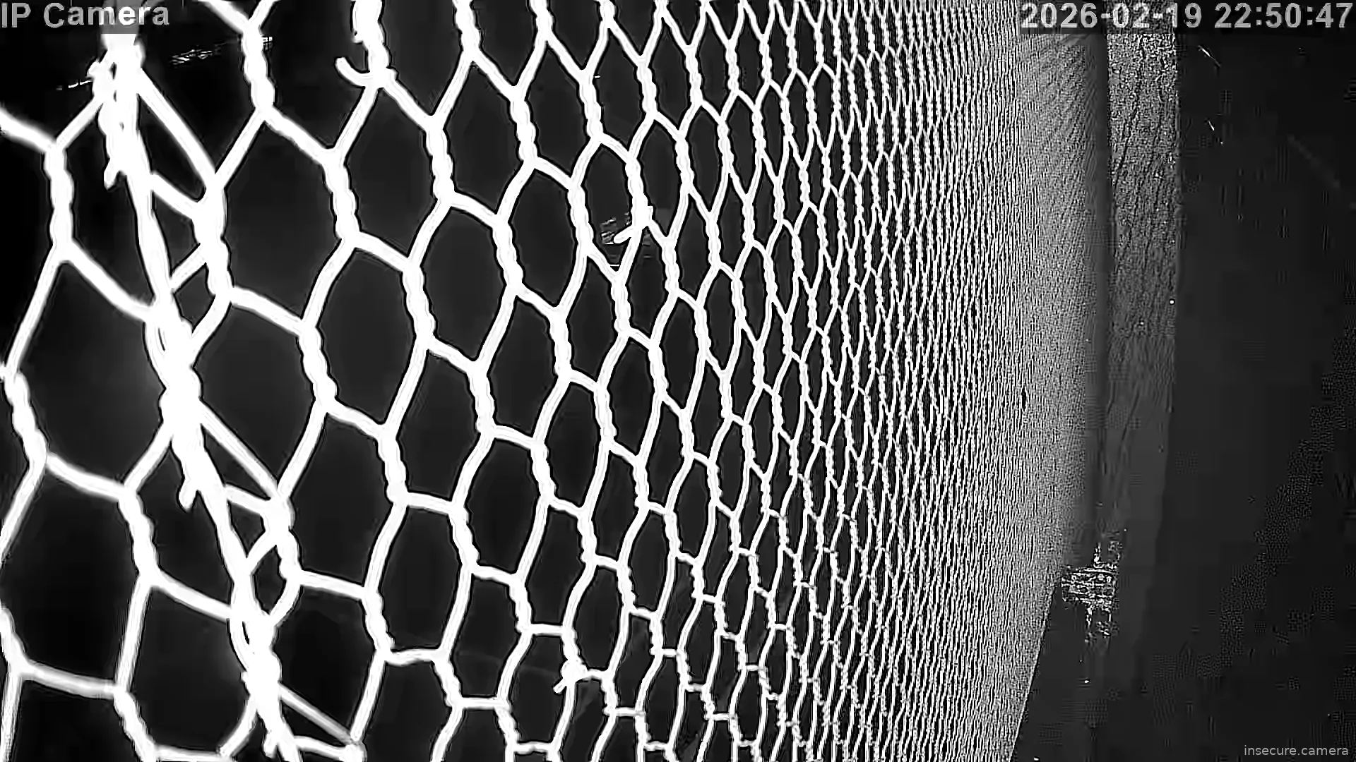 Capture from Feb 20, 2026 at 04:51 AM