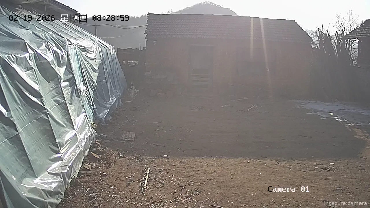 Capture from Feb 19, 2026 at 12:29 AM