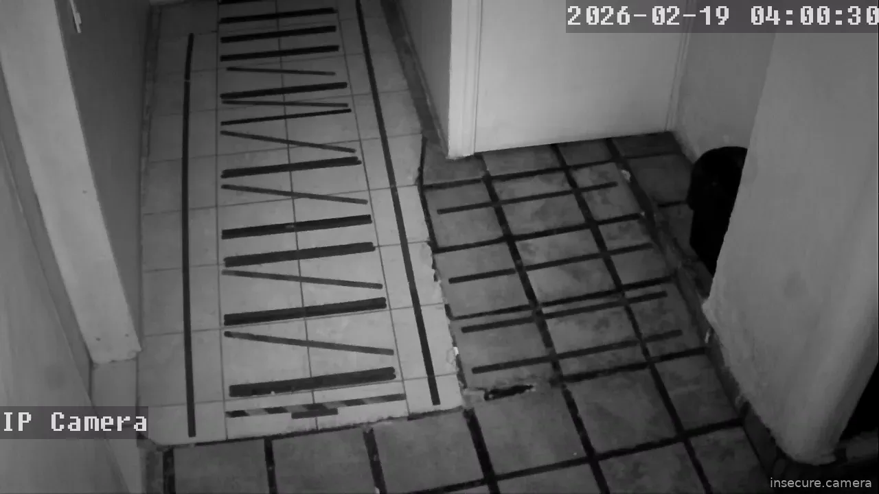 Capture from Feb 19, 2026 at 10:00 AM